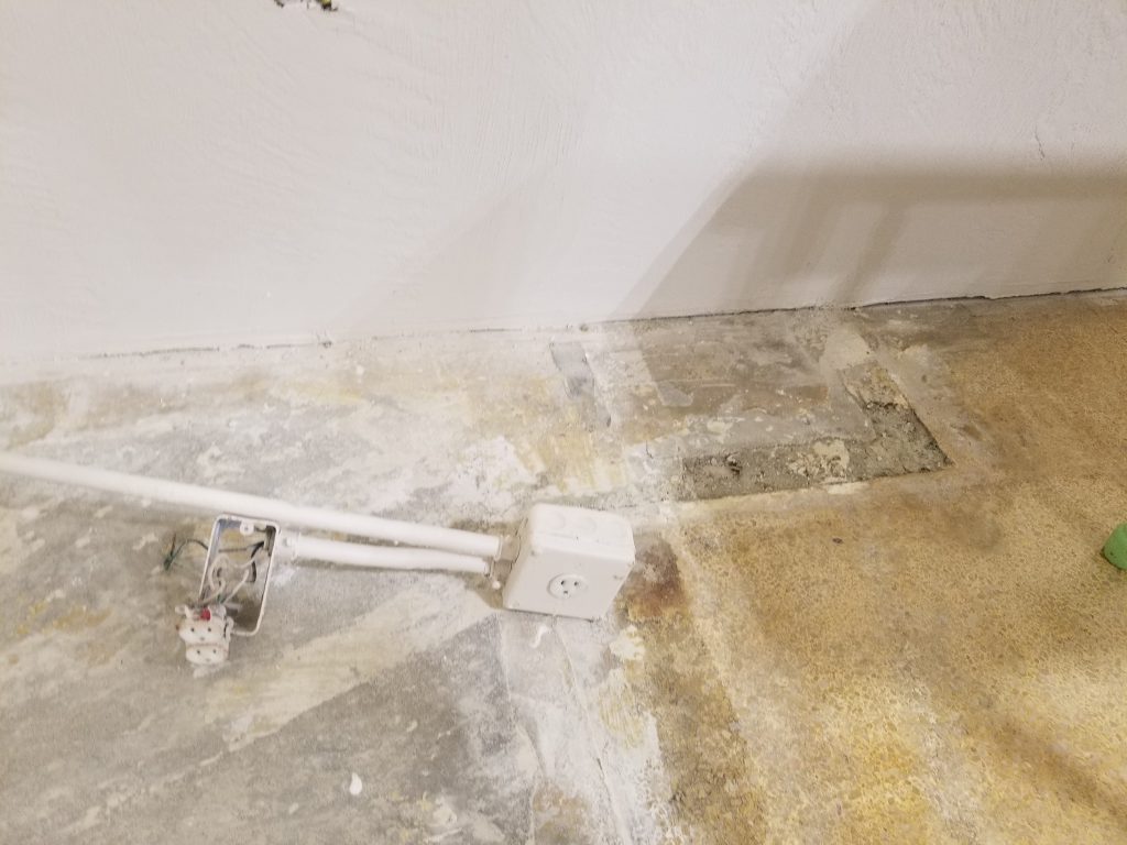 mold damage palm coast